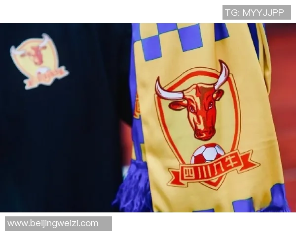 四川九牛足球队传奇球星及其故事